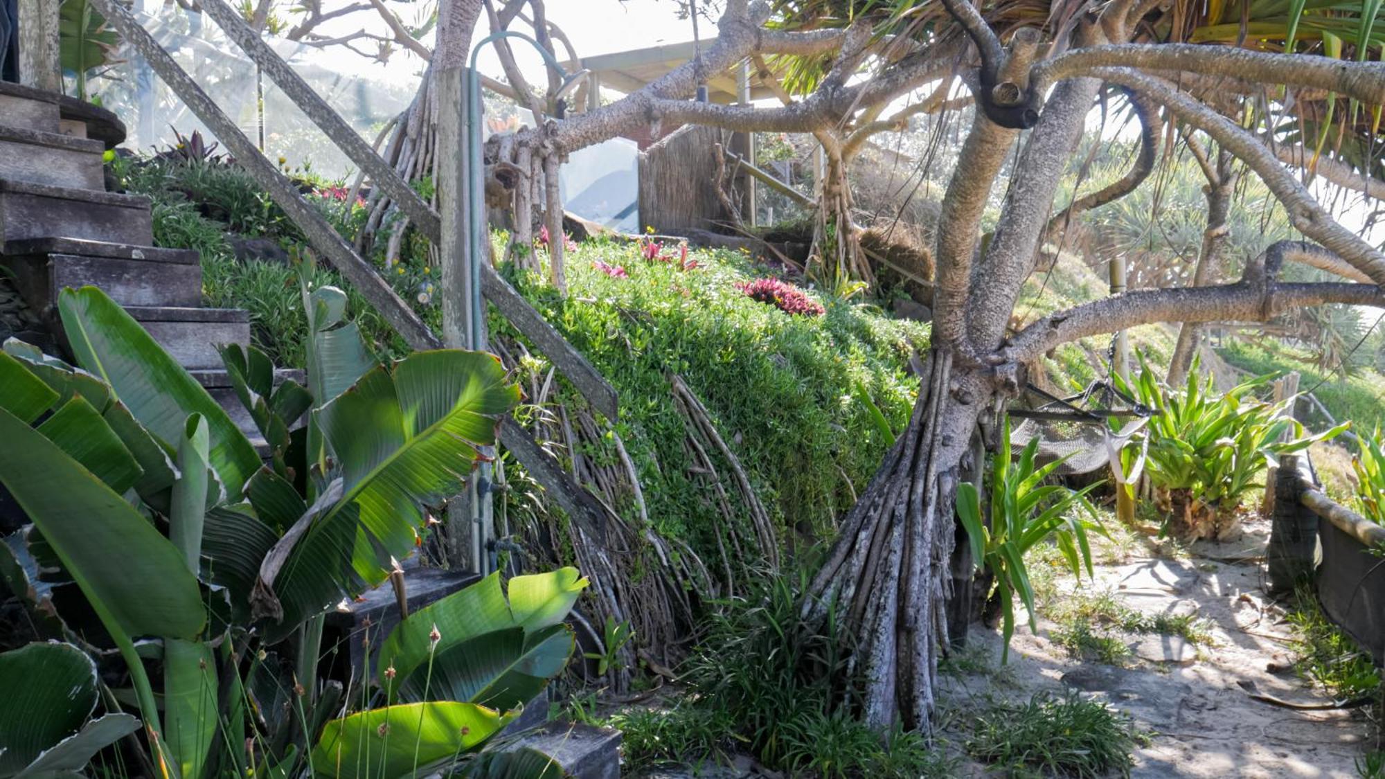 Shambhala @ Byron Byron Bay Exterior foto