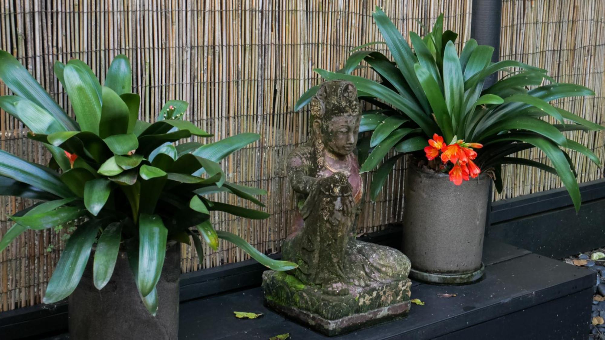 Shambhala @ Byron Byron Bay Exterior foto